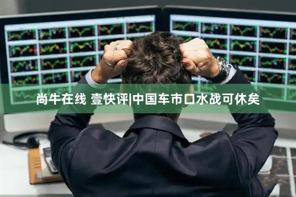 尚牛在线 壹快评|中国车市口水战可休矣