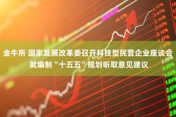 金牛所 国家发展改革委召开科技型民营企业座谈会 就编制“十五五”规划听取意见建议