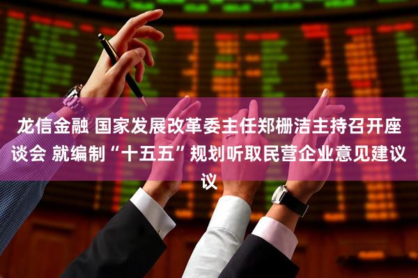 龙信金融 国家发展改革委主任郑栅洁主持召开座谈会 就编制“十五五”规划听取民营企业意见建议