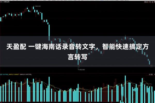 天盈配 一键海南话录音转文字，智能快速搞定方言转写