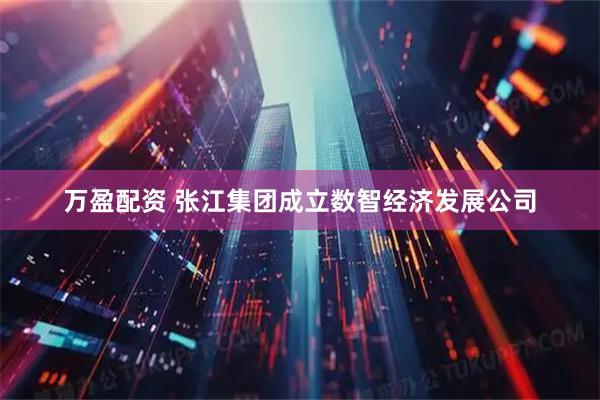 万盈配资 张江集团成立数智经济发展公司