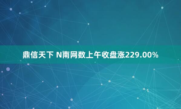 鼎信天下 N南网数上午收盘涨229.00%