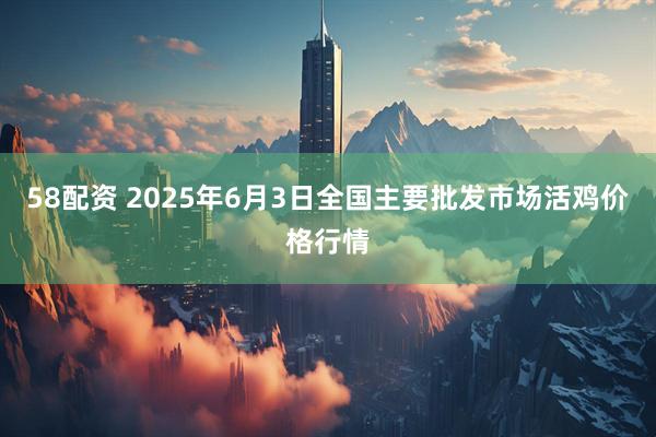 58配资 2025年6月3日全国主要批发市场活鸡价格行情