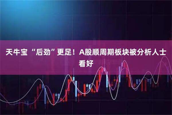 天牛宝 “后劲”更足！A股顺周期板块被分析人士看好