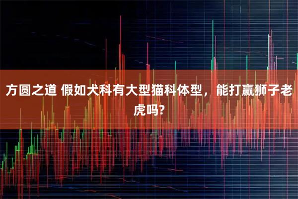 方圆之道 假如犬科有大型猫科体型，能打赢狮子老虎吗?