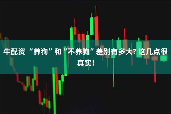 牛配资 “养狗”和“不养狗”差别有多大? 这几点很真实!
