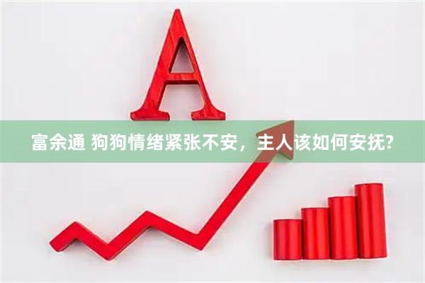 富余通 狗狗情绪紧张不安，主人该如何安抚?