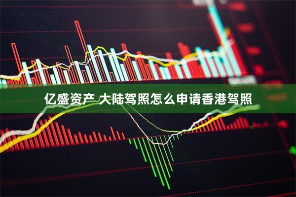 亿盛资产 大陆驾照怎么申请香港驾照