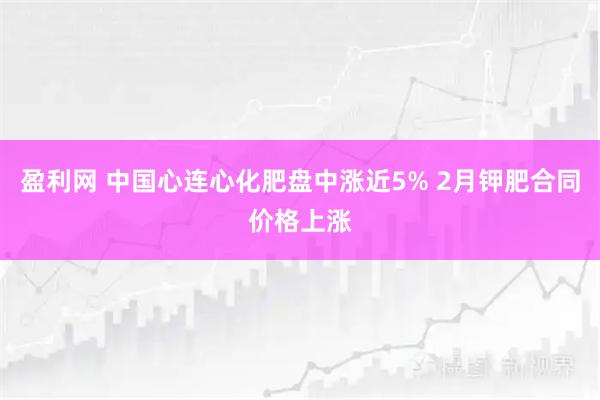盈利网 中国心连心化肥盘中涨近5% 2月钾肥合同价格上涨