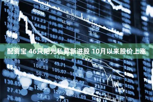 配资宝 46只阳光私募新进股 10月以来股价上涨